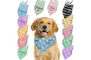 Custom Dog Bandanas for Personalized Comfort and Style
