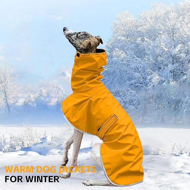 Foto 6 de 6 de UOSIA Abrigo de Invierno para Galgos, Ropa Impermeable para Whippet, Chaqueta cálida de Lana para Perros