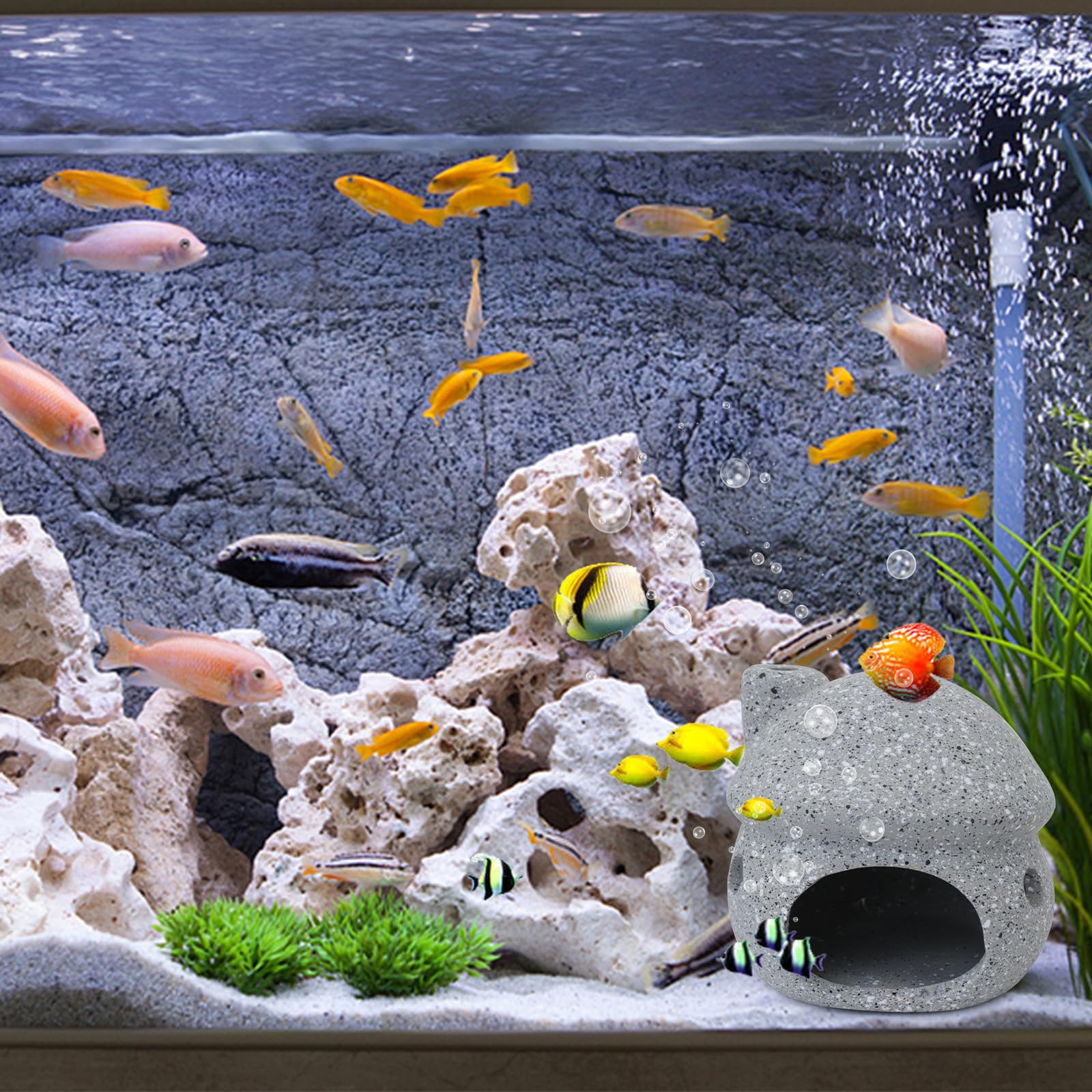 XFSRG Aquarium Höhle - Poröse Betta Höhle Für Fische & Garnelen