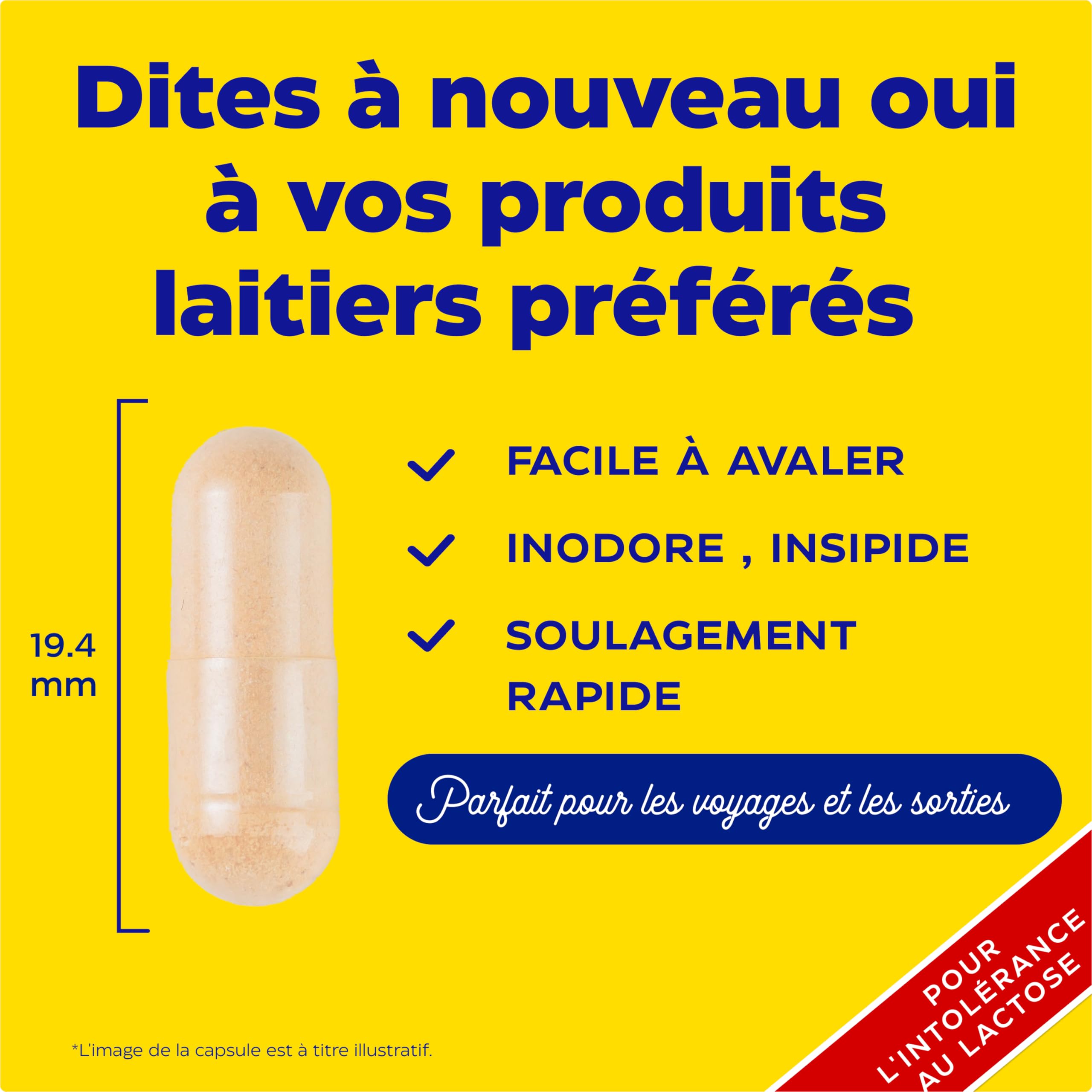 Enzymedica, Lacto, Formule Enzymatique Pour L'Intolérance Au Lactose Et À La Caséine, Indiqué Contre La Contamination Croisée, Sans Gluten, Sans Produits Laitiers, Végétalien, 90 Capsules