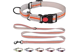 Martingale Collar for Dogs, Soft Neoprene Padded Reflective Martingale Collar and Leash...