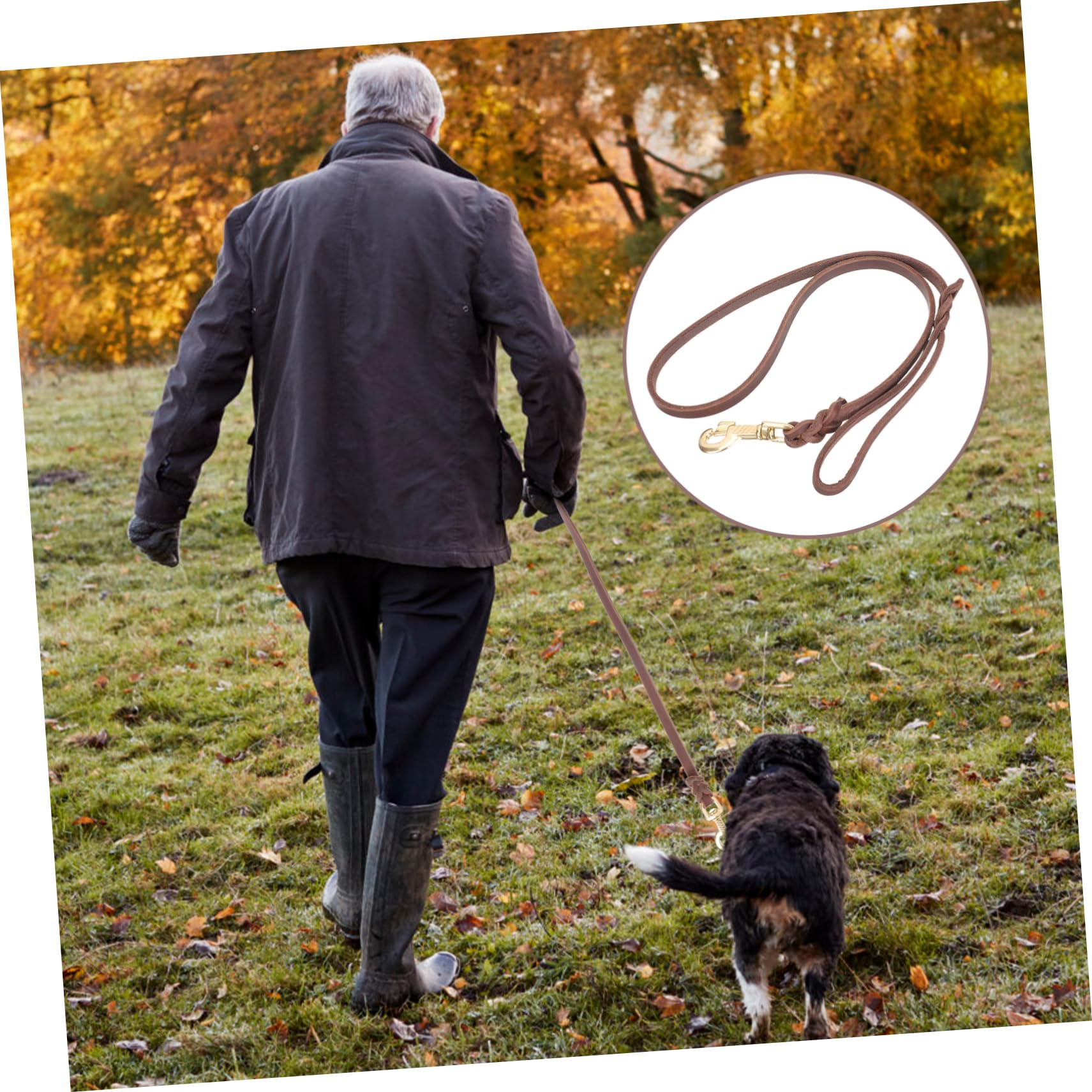 Kisangel 3pièces Laisse De Traction pour Chiens Corde pour Chiens De Moyenne à avec Idéale pour Promenades Sécurisées Et Confortables