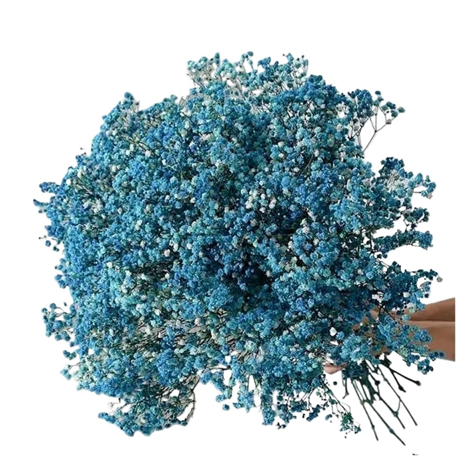 WJIAYAO dried gypsophila flowers 40-50cm Dried Flowers Gypsophila Paniculata,Baby's Breath Flower Bouquets Wedding Decoration,Home Decor(Blue,60g (40cm))