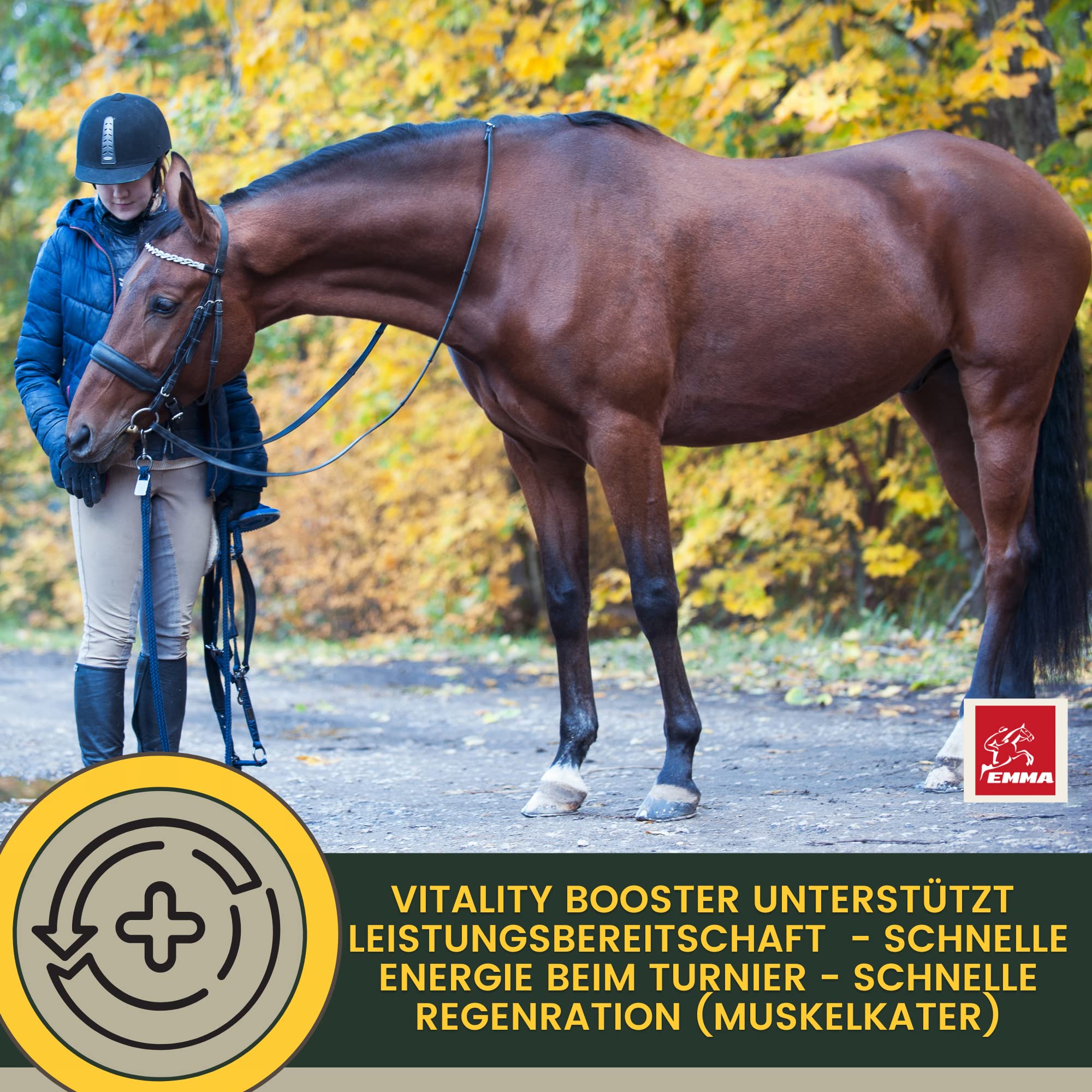 Acides Aminés Musculation Cheval - pour des Entrainements Efficaces - Performance Pate d'acides aminés Vitamine E Renforcement récupération Musculature Régénération énergie pour Muscles Chevaux 30ml