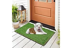 Artificial Grass Placemats: A Lush Greenery Oasis for Your Table