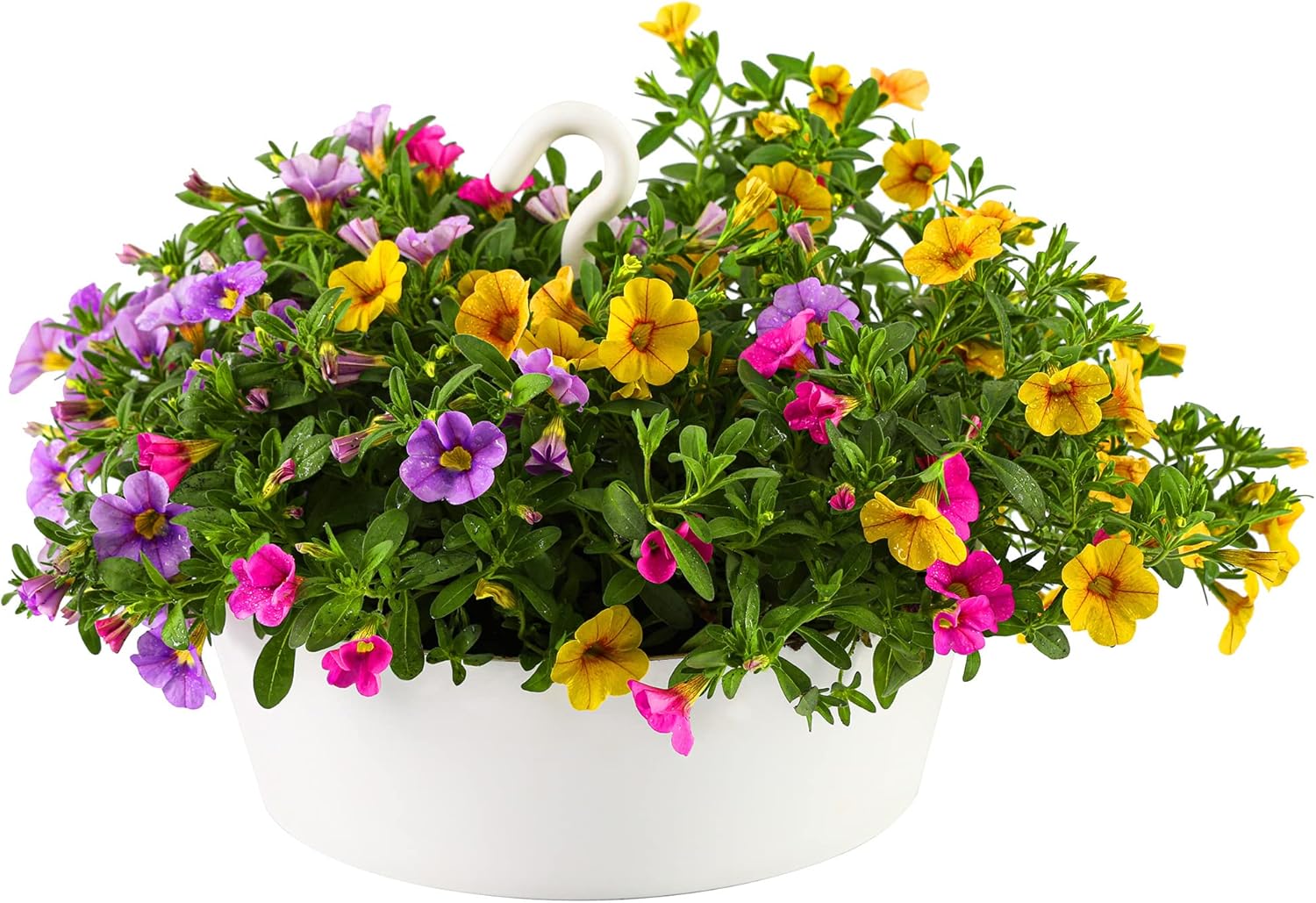 Tree Nest Hanging Planter 12 Inch Outdoor Hanging Flower Pot Holder for Plants Indoor Plant Basket Recyclable Plastic Hanger with Hook and Drain Hole Round White(NO Flower)
