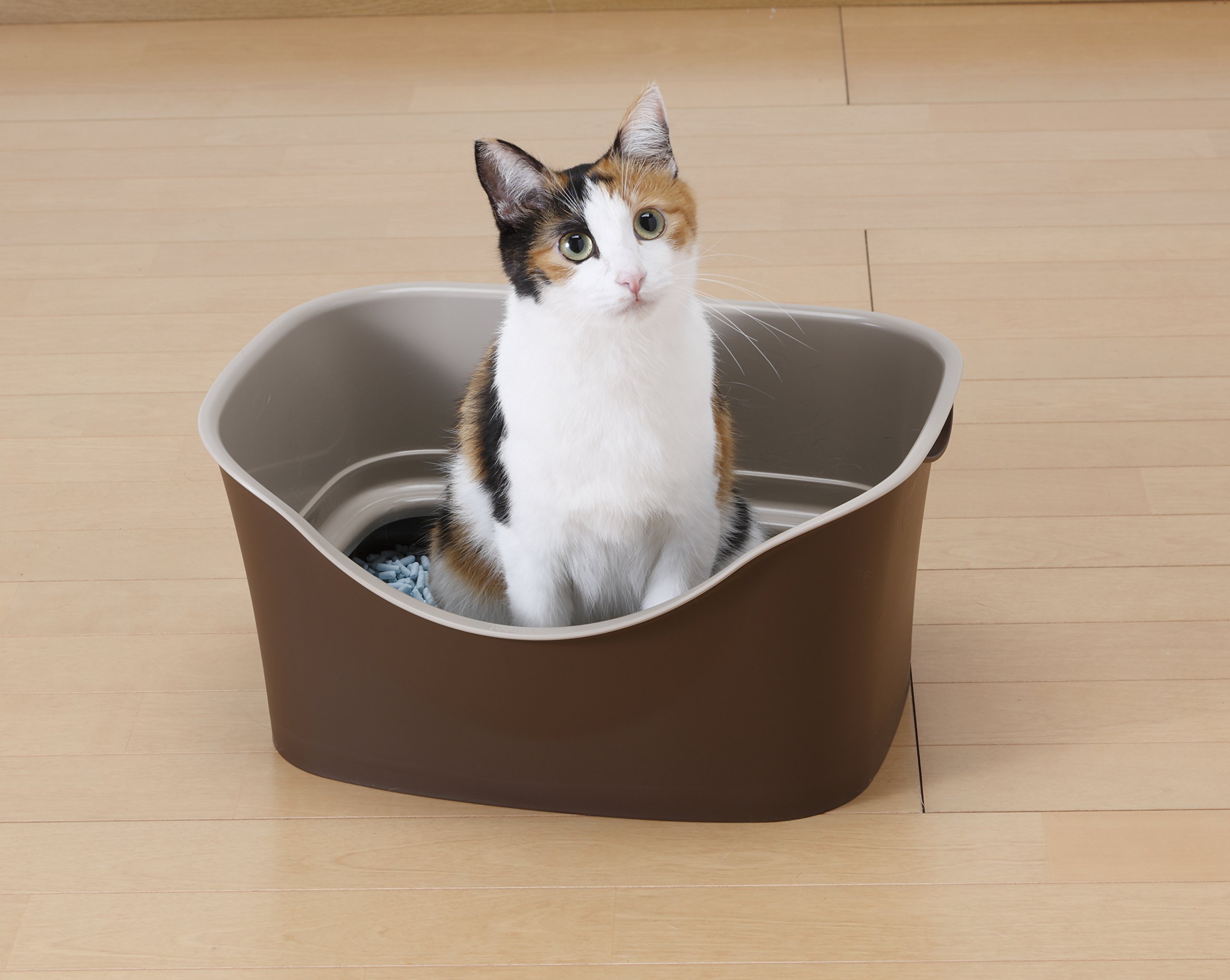 Amazon | ボンビアルコン (Bonbi) ラクラク猫トイレ Wブロック