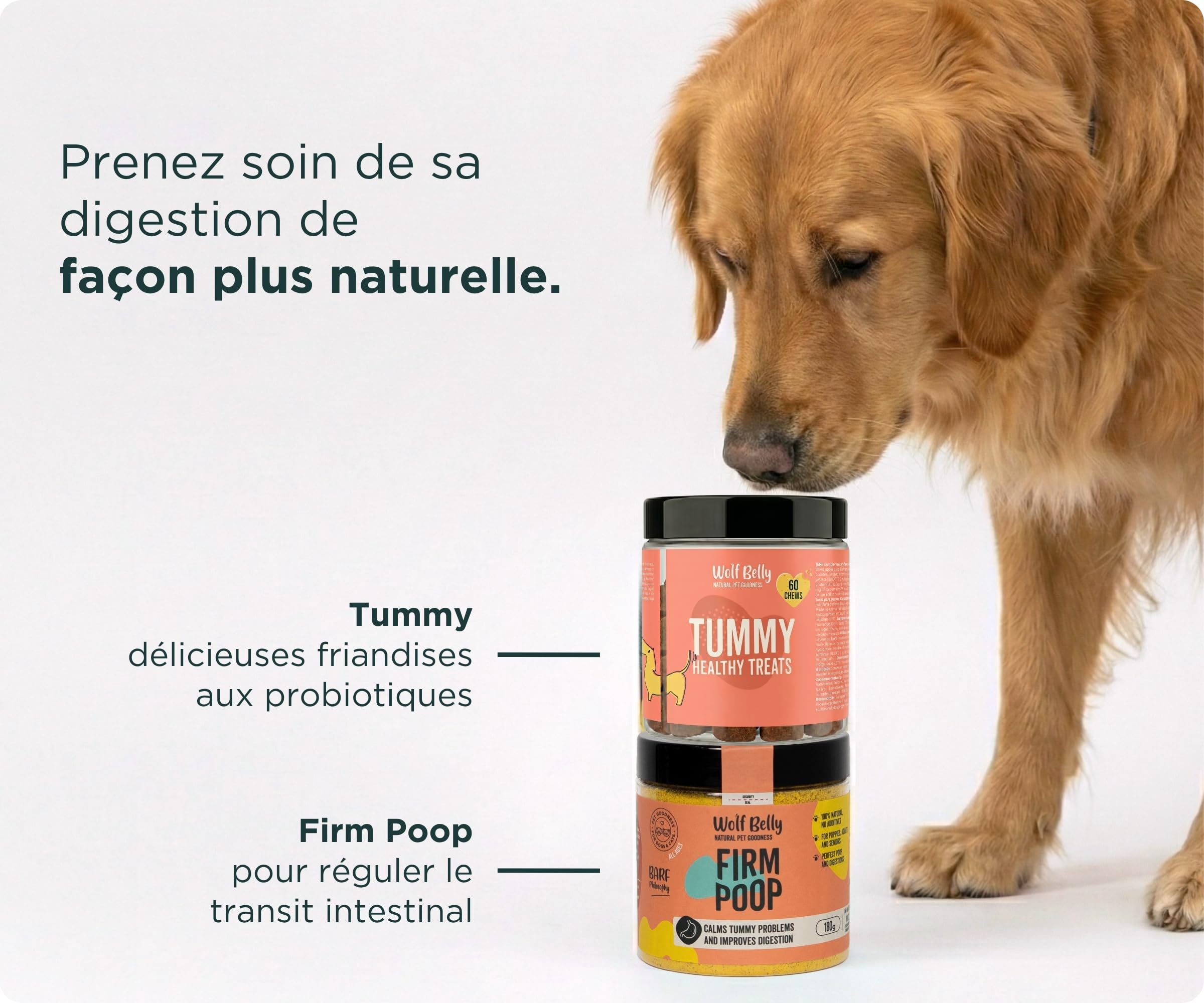 Wolf Belly - Pack Digestif pour Chiens | Complément Digestif en Poudre + Friandises aux Probiotiques | Réduit la Diarrhée | Améliore la Flore Intestinale - Fabriqué en Europe