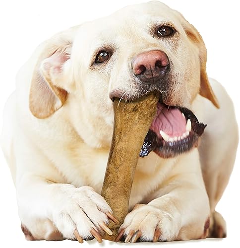 Vista 28 de Nylabone Healthy Edibles - Premios para perro para masticar, todo natural, larga duración sabor a mantequilla de maní (Peanut Butter) 1 unidad