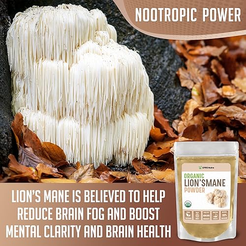Miniatura 5 de XPRS Nutra Melena de león orgánica de 8 onzas con tamaño 00 cápsulas vacías relleno de suplemento de bricolaje