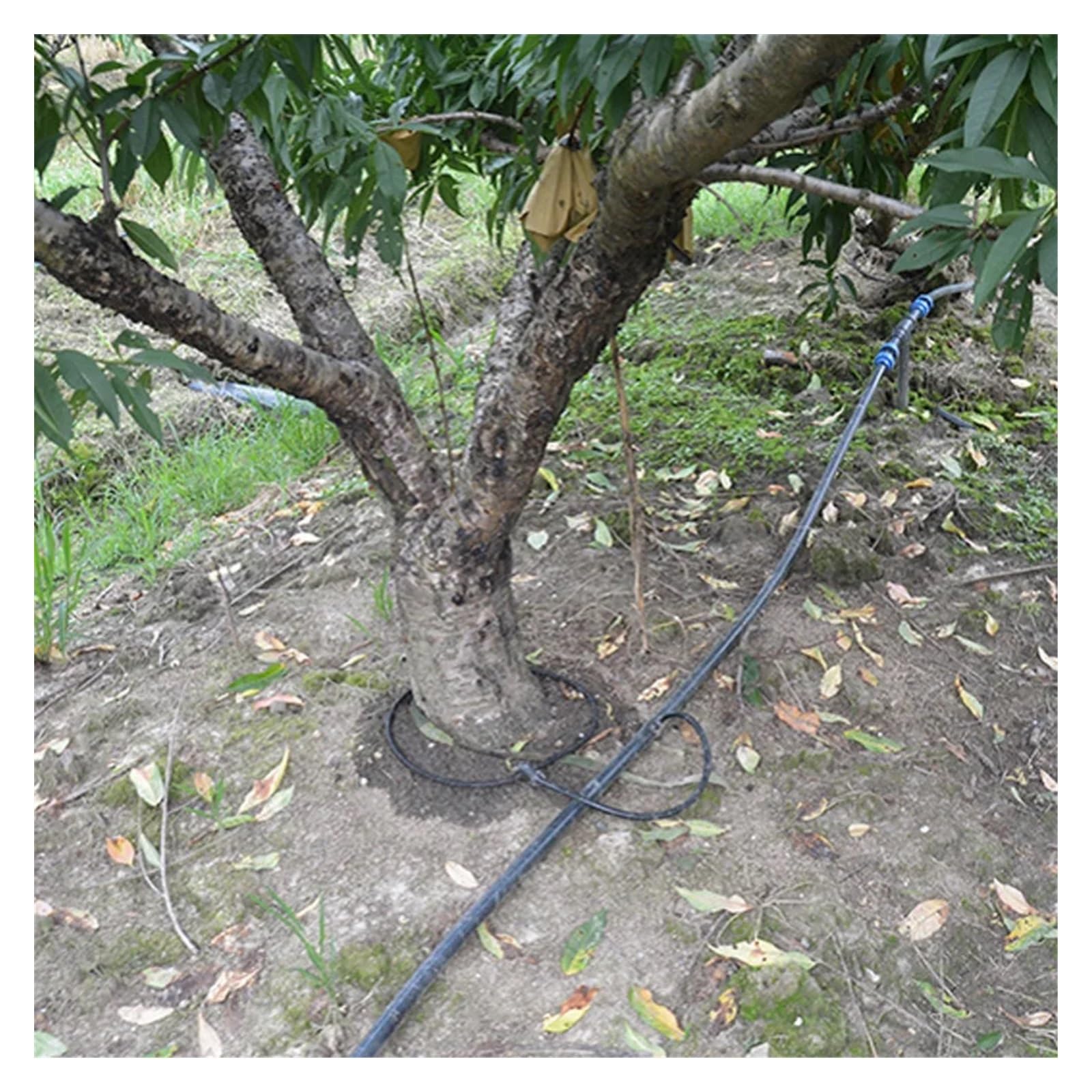 10 m/20 m Tropfschlauch, Mikro-Tropfbewässerung, 4/9 mm undichtes Rohr, alterungsbeständiges, durchlässiges Rohr, Bewässerungsschlauch for Garten, Blumen, Bäume Lucky(Size:10 m)