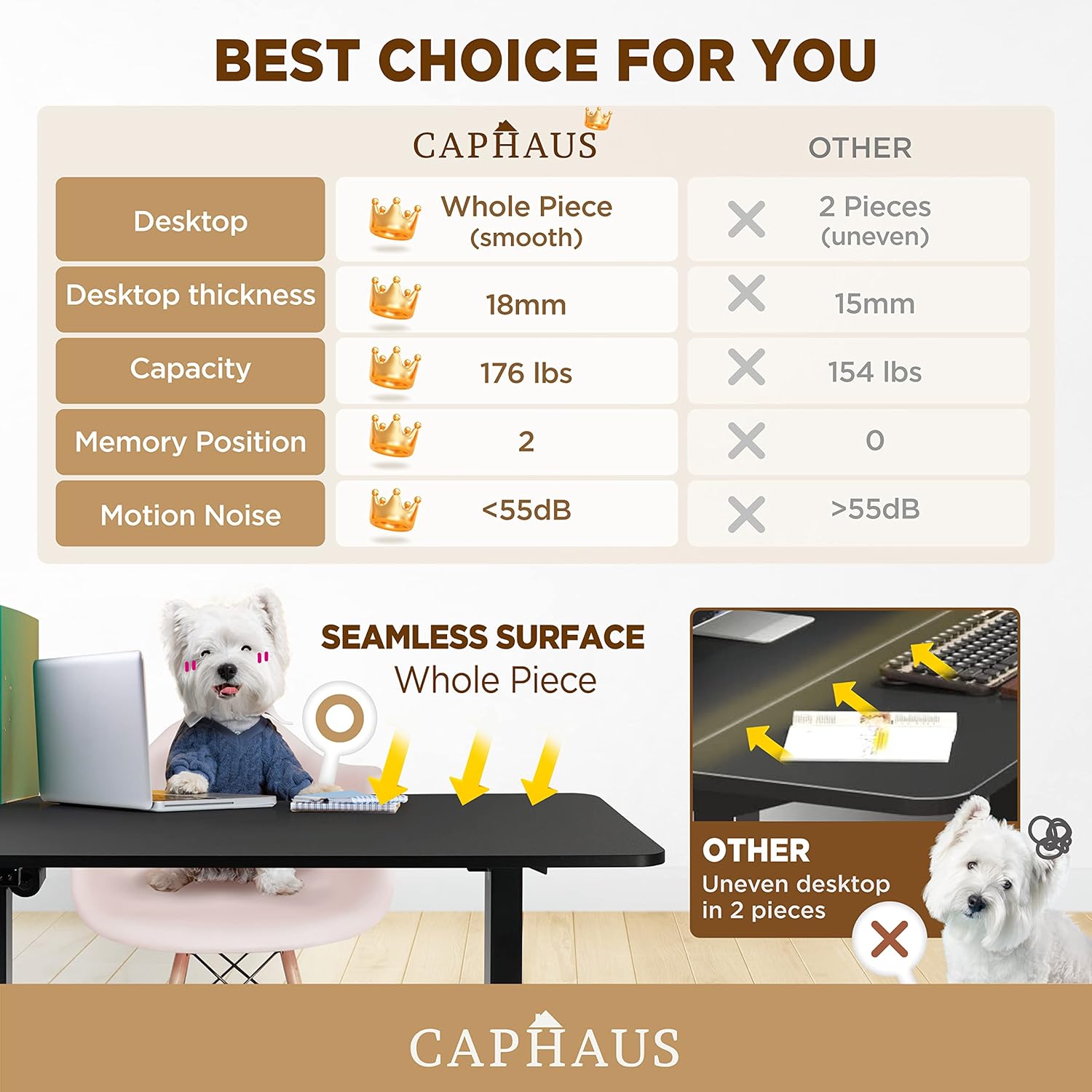 CAPHAUS 48 x 24 Inches Whole-Piece Deskboard Electric Standing Computer Desk, Home Office Height Adjustable Desk with Memory Control Panel, Black Metal Frame & P2 Grade Black Desktop, Single Motor