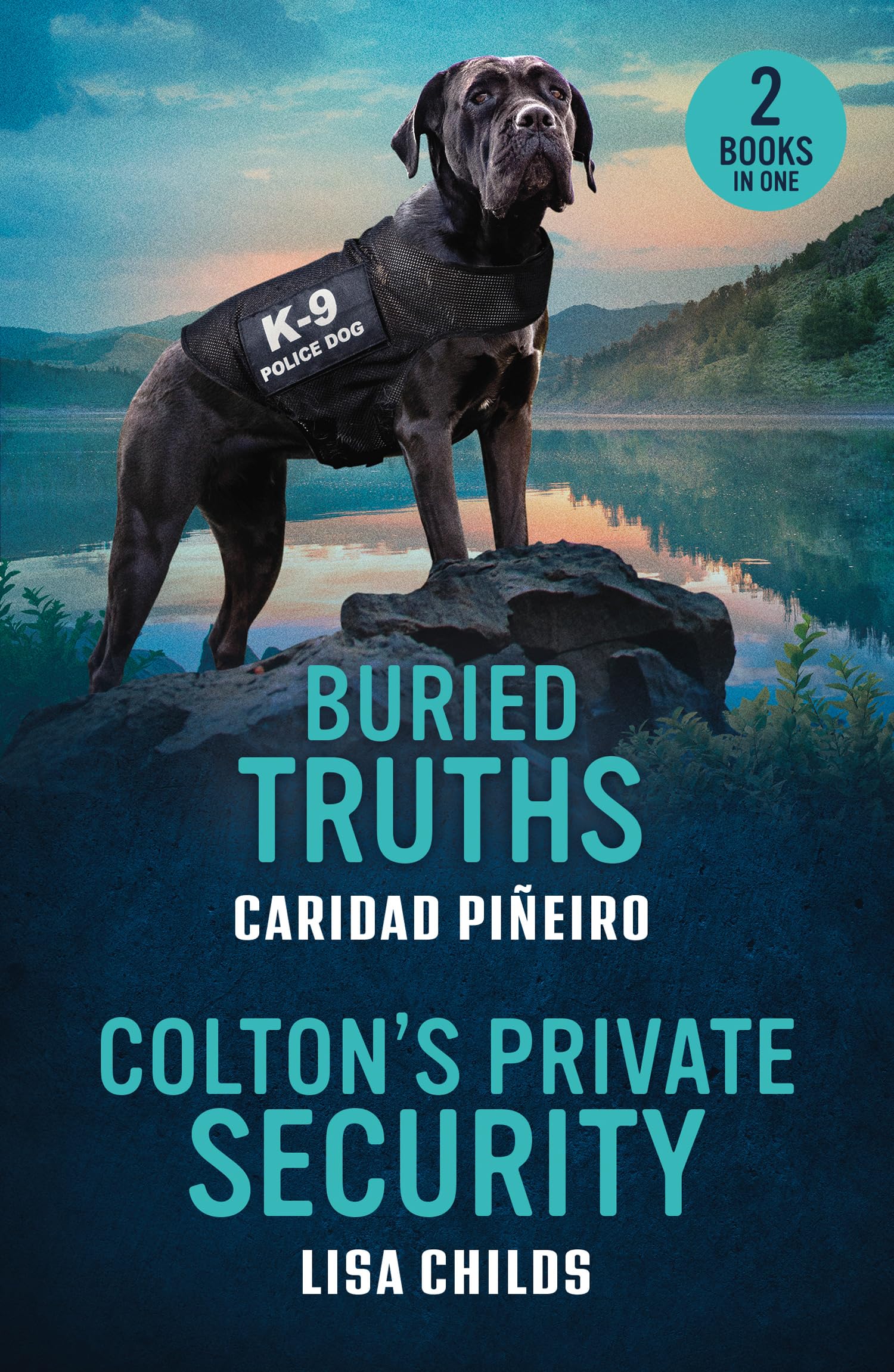 Buried Truths / Colton's Private Security: Two new heart-stopping romances for fans of protective bodyguards, second chances and small town deadly secrets in 2026!