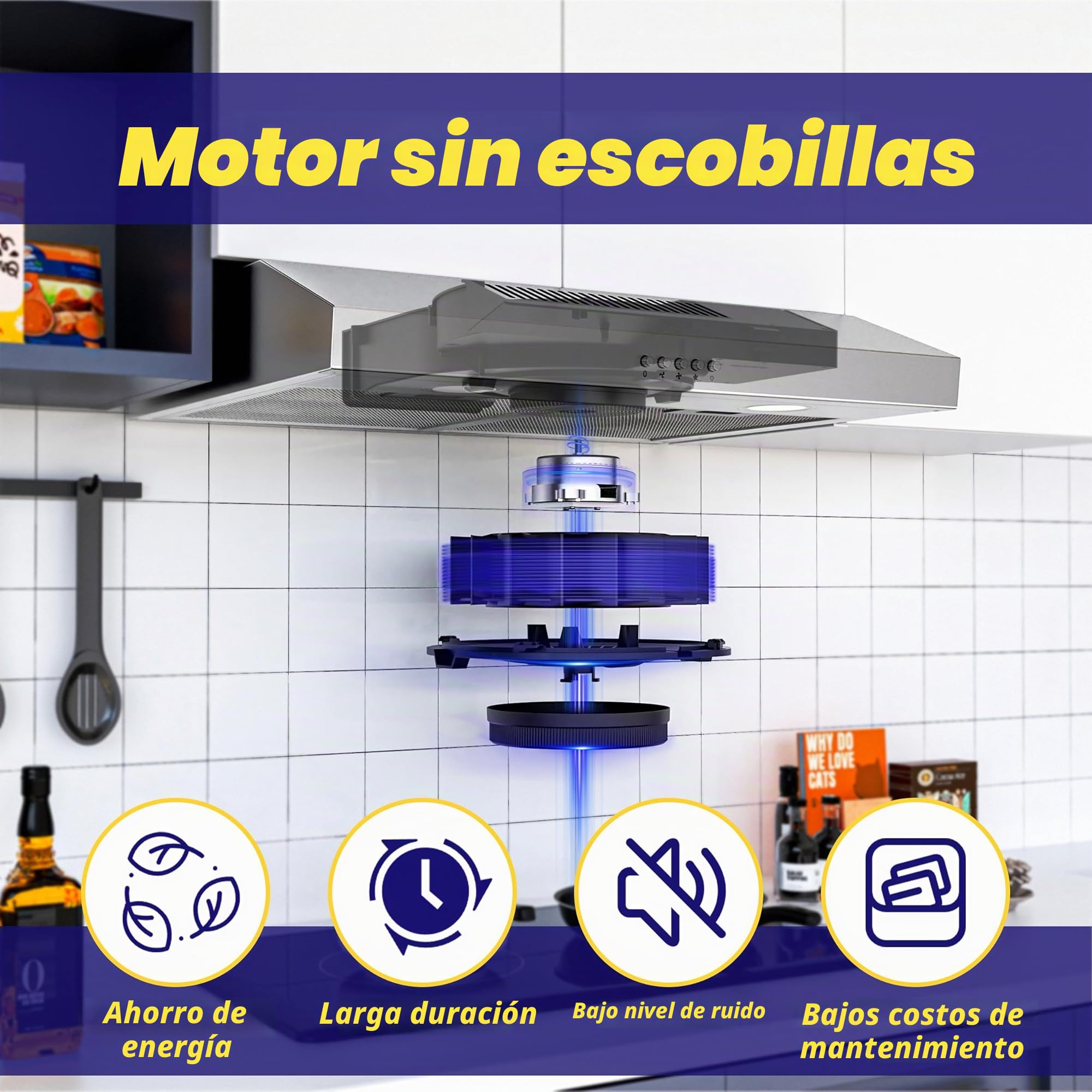 FIREGAS campana extractora 60 cm, con motor sin escobillas, 3 velocidades, 250 m³/h, iluminación LED, filtro de carbón incluido, evacuación y reciclaje, acero inoxidable