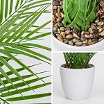 DILATATA Fausse plante 15" Plant de palmier artificiel en pot blanc Real Touch Faux Tropical Palm Tree Houseplant pour la maison Intérieur Salon Table Table de table Décorations Balcon