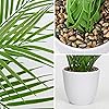 Product Photo 3
