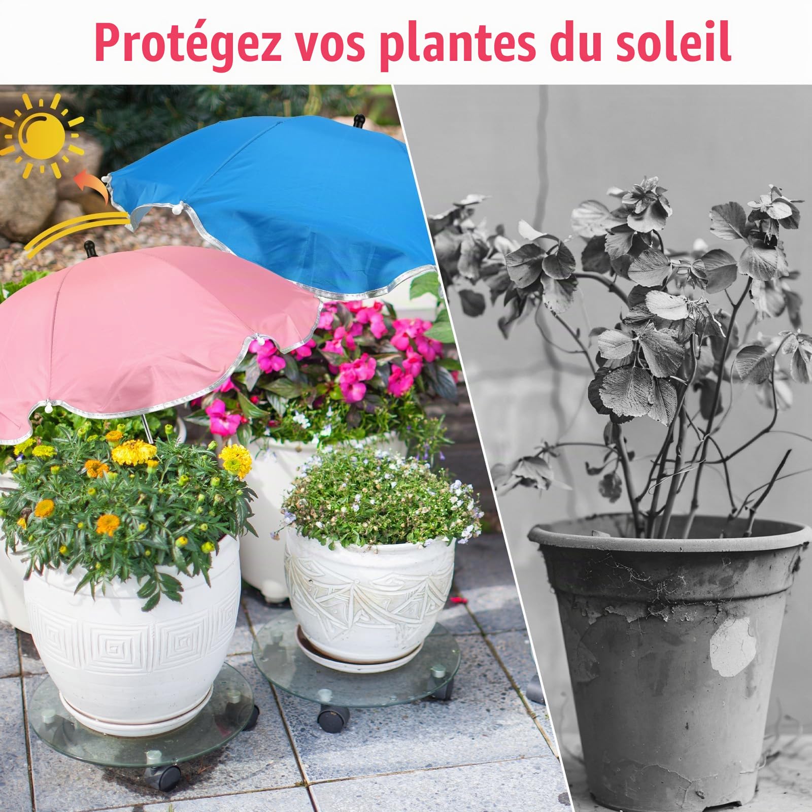 BOXOB 4pcs Parasol Plante D'Extérieur, Diamètre 60cm Parasol Plante