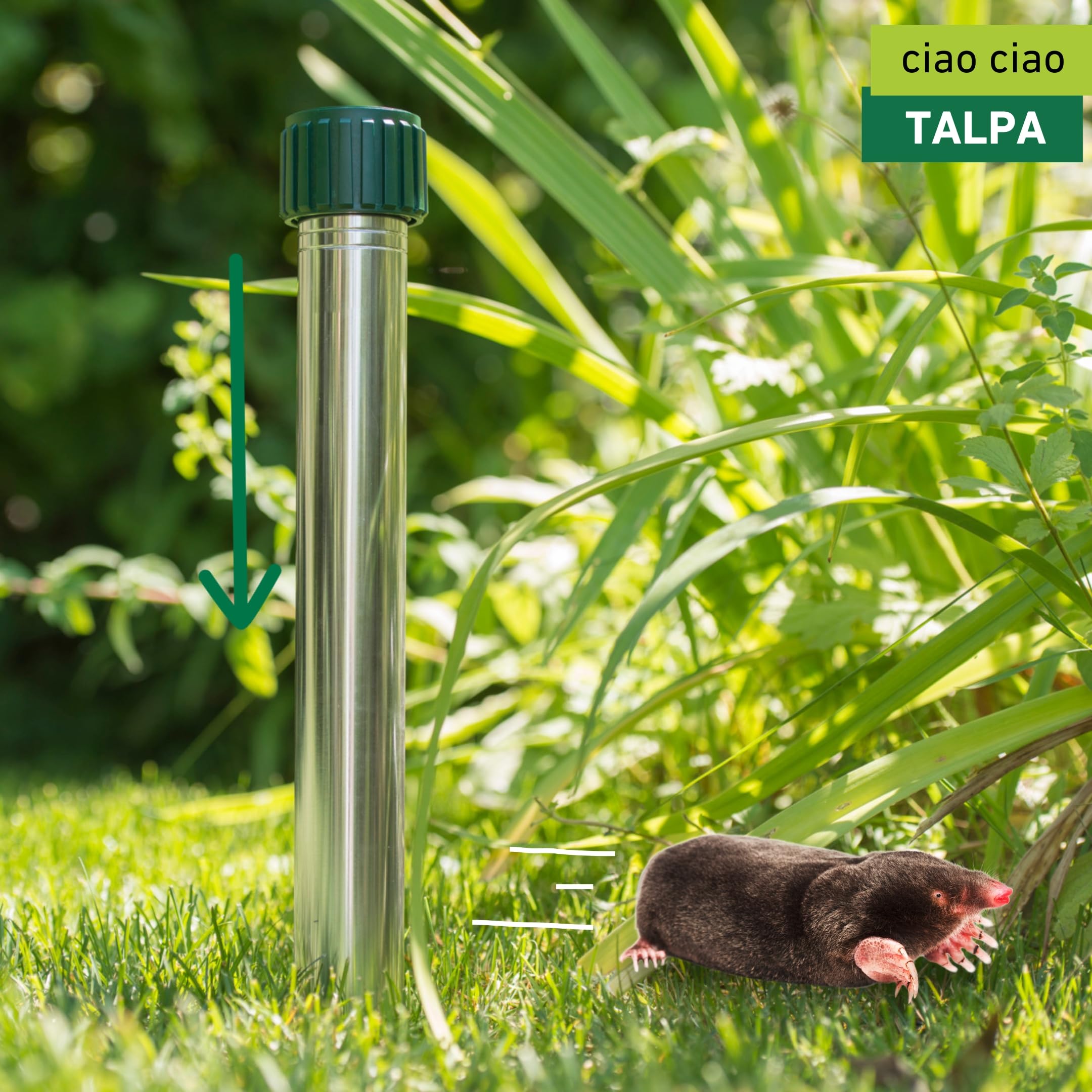 Windhager espulsore di Vole Alluminio, Repellente della Mole, Repellente della Talpa, Difesa della Talpa, Superficie Efficace ca. 800 m², 02130