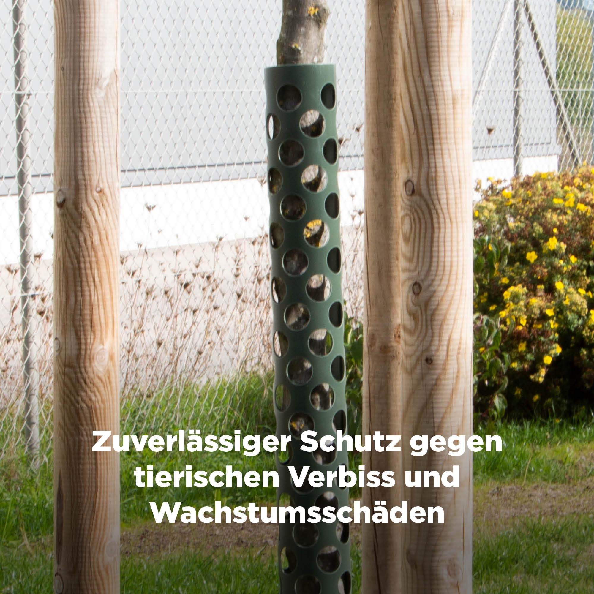 blizz-z Baumschutz Wild-Verbiss grün (Höhe 120 cm), Durchmesser: 85 mm (5 Stück) | Stamm-Schutz, Rindenschutz, Vermeidung Wildtier Fraßschäden bei Nadel- und Laubbäumen | Made in Germany