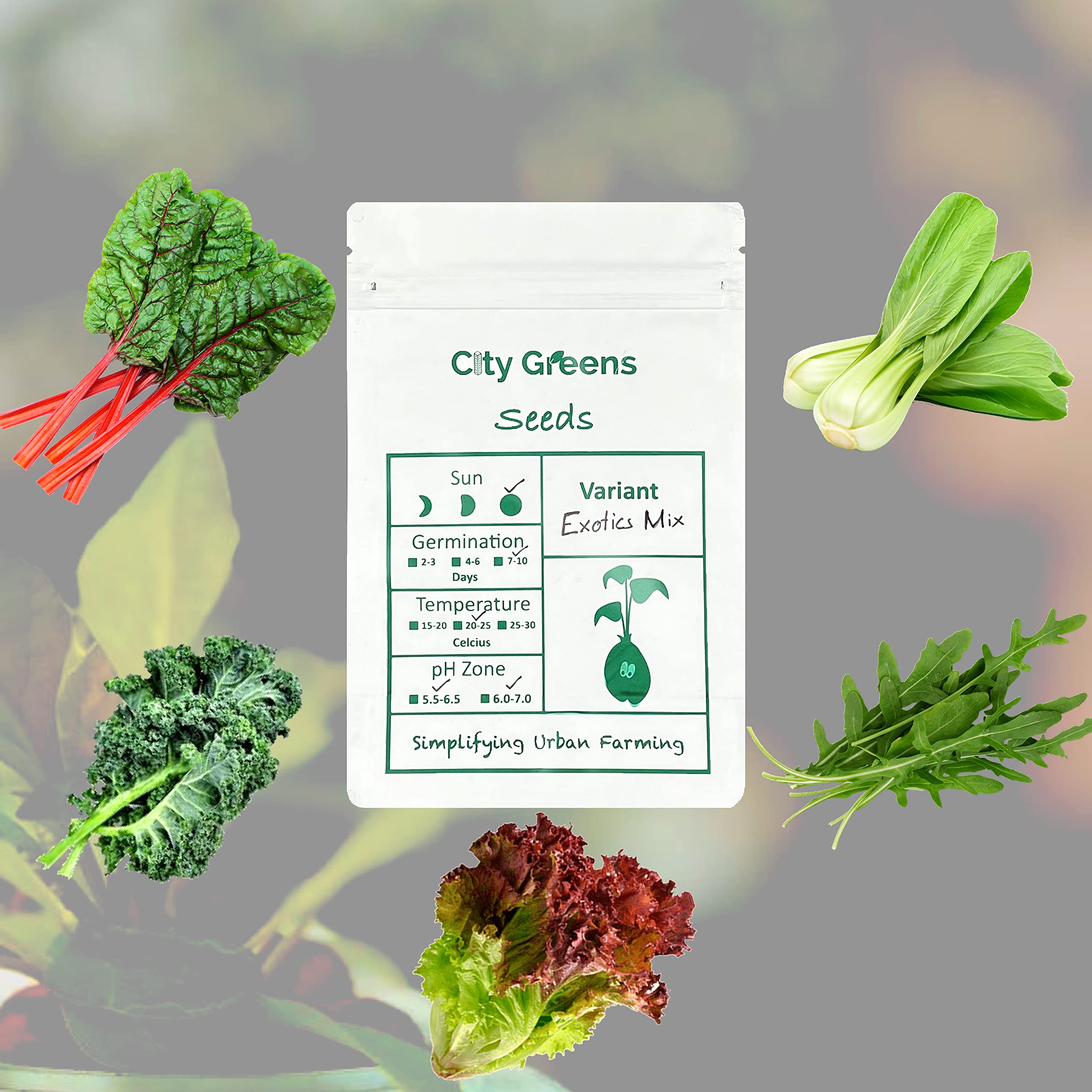 City Greens Exotic Leafy Vegetables Garden Seeds - Lettuce, Curly Kale, Bok Choy(Pakchoi, Bokchoi), Swiss Chard, Arugula - Total No of Seeds 190. (B08ZCRWT8W) Amazon Price History, Amazon Price Tracker