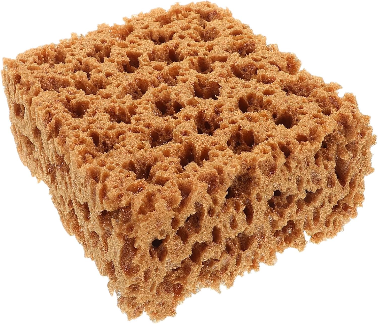 Natural Painting Sponge Brush Tool for Adults Medium Seaweed Texture Sponge for Wall Furniture and Craft Painting for Detailed Art Projects