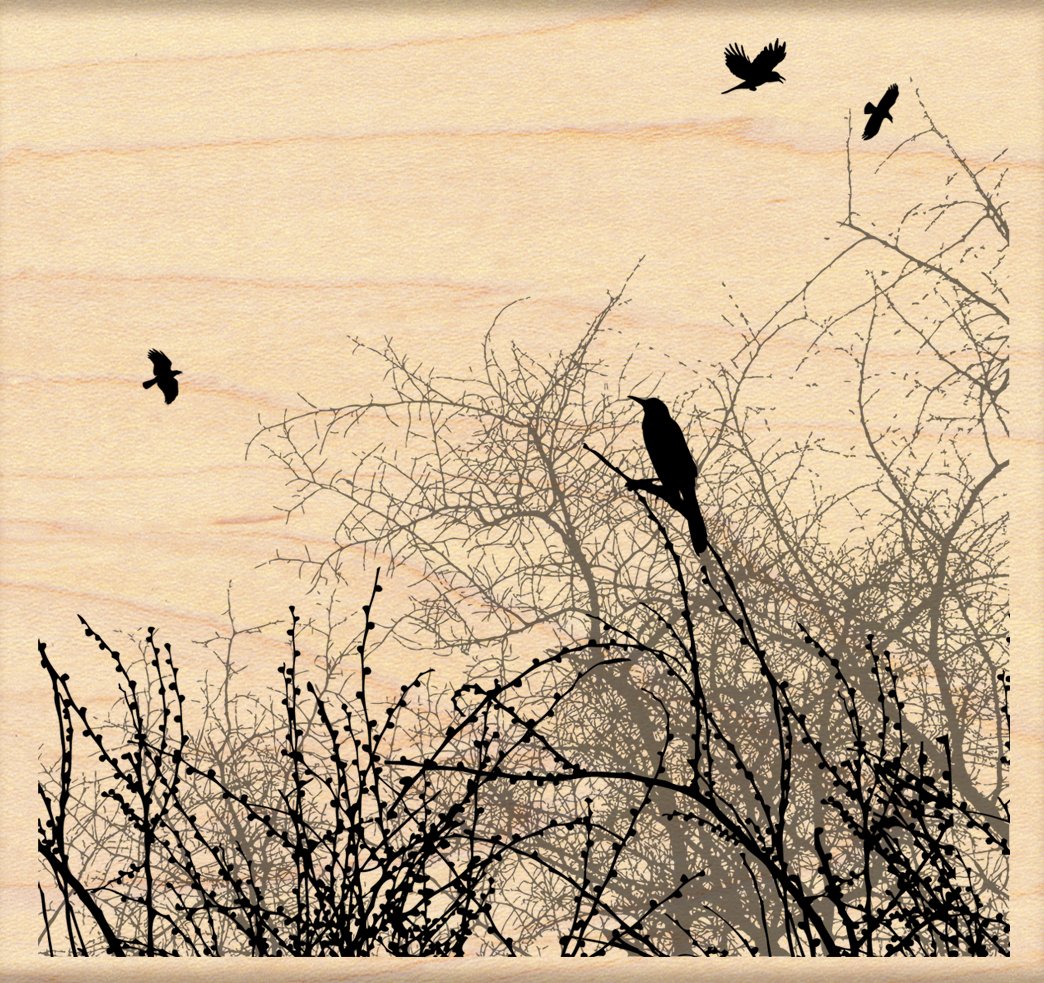 Penny Black Black Penny Pb4204l Penny Rubber Stamp 4 In. X 4.5 In.-Winter Sky