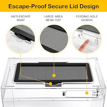 HELIME Reptile Tank 5 Piece Starter Kit with Escape Proof Locking Lid Small