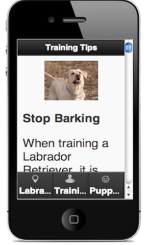 Ladrador Retriever Training – vue 3