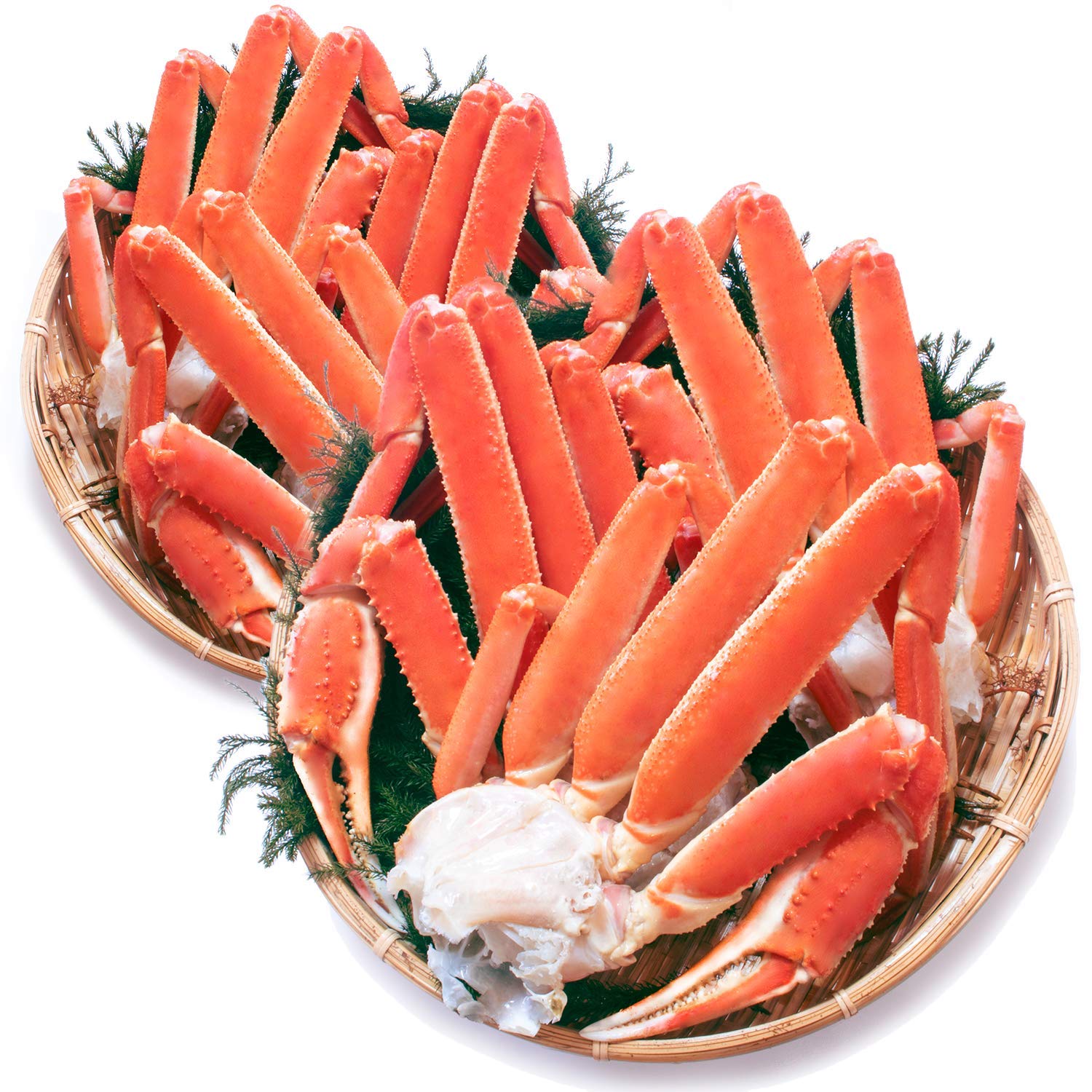 黒帯 ズワイガニ 足 特選 プレミアム 天然 ボイル 本 ずわい 蟹 脚 特大 良品選別済 かに