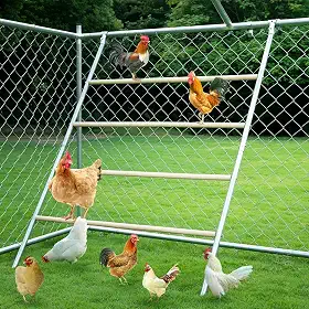 YUMEKA Escada De Poleiro Para Galinhas Com Faixas Para As Pernas, Barras De Poleiro Para Galinhas, Brinquedos Para Galinheiros, Adequados Para Galinheiros E Poleiros Para Galinhas, Aves De Quintal,