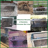 RatzFatz 2 db Élő Csapda Premium Egér és Patkány Csapda Nagy XL Méret 7