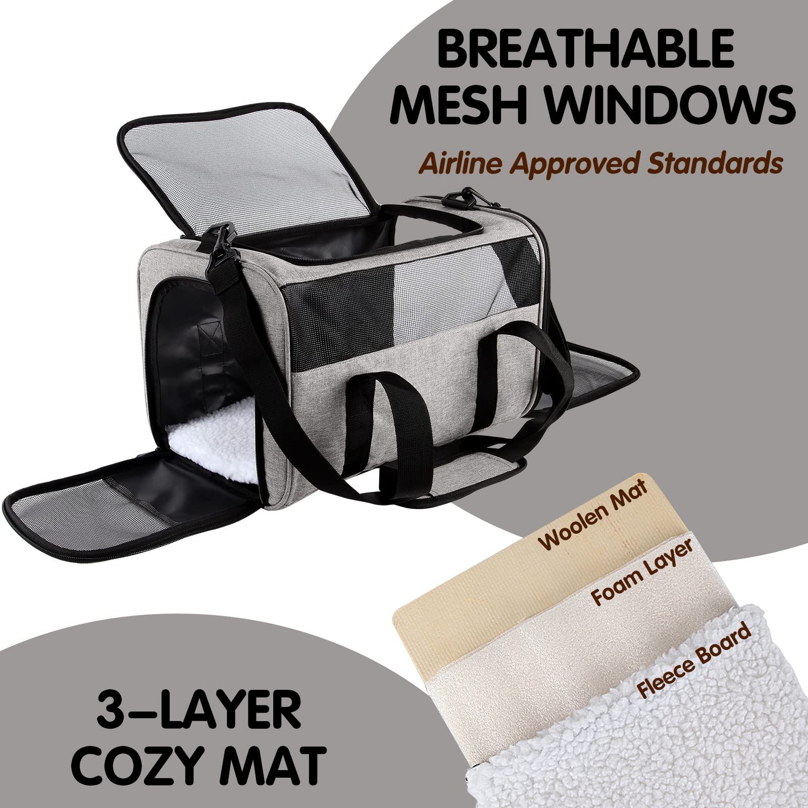 https://m.media-amazon.com/images/I/81wCo-qSGSL.jpg