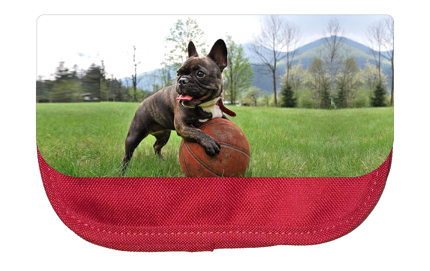 Dog Bulldog Basketball Cosmetic Bag Beauty & Personal Care