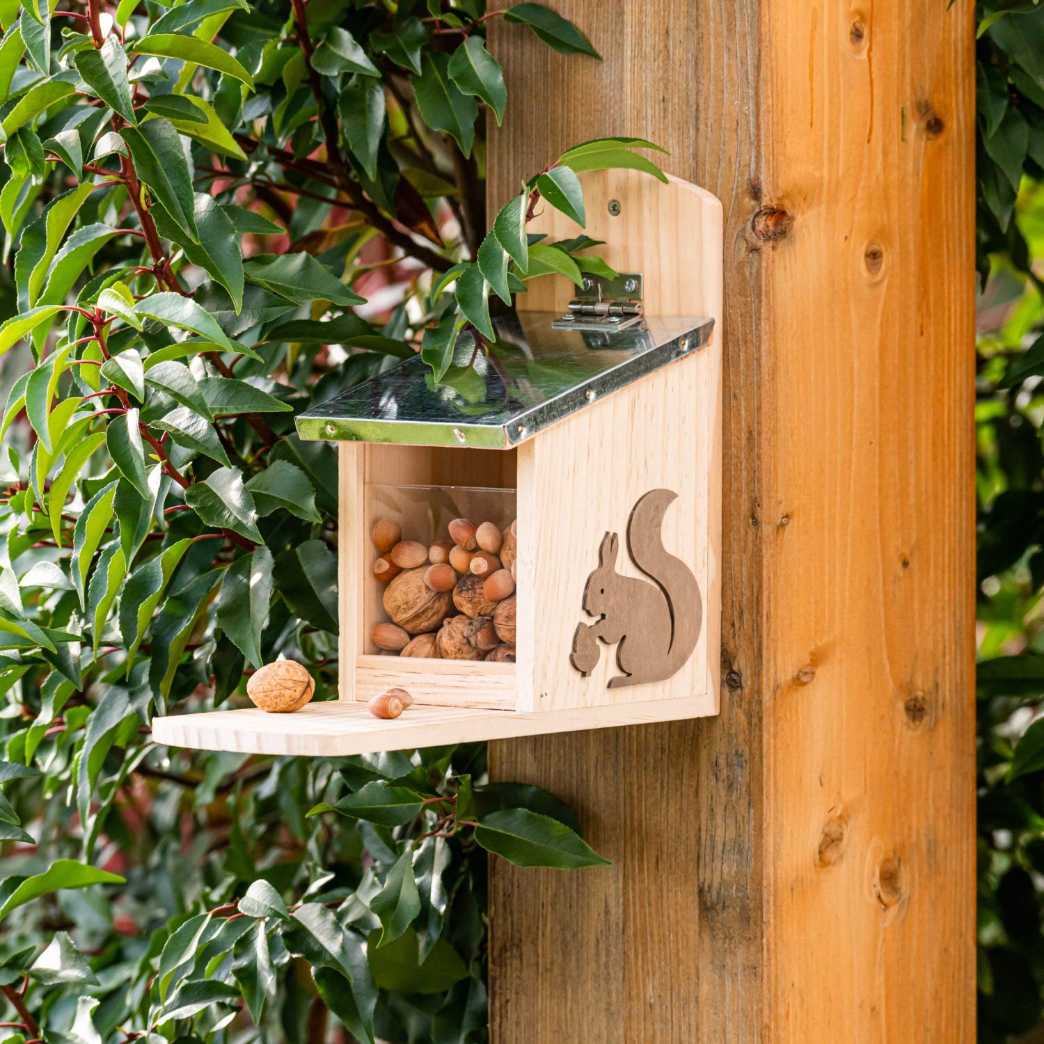 Mangiatoia per scoiattoli da Giardino, casetta in Legno per scoiattolini, Accessori per scoiattoli, 24.5x11x29 cm