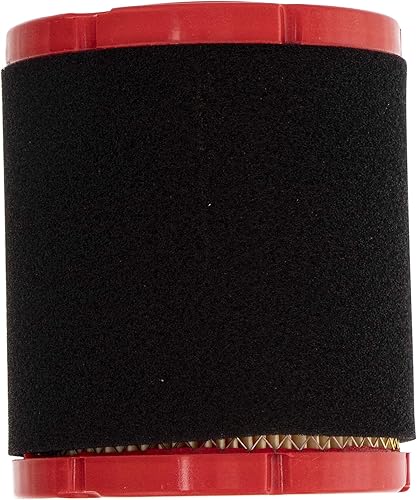 CUB CADET 937-05066 Filtro de aire con prefiltro XT1 Enduro LT42 LT46 Tractores de césped