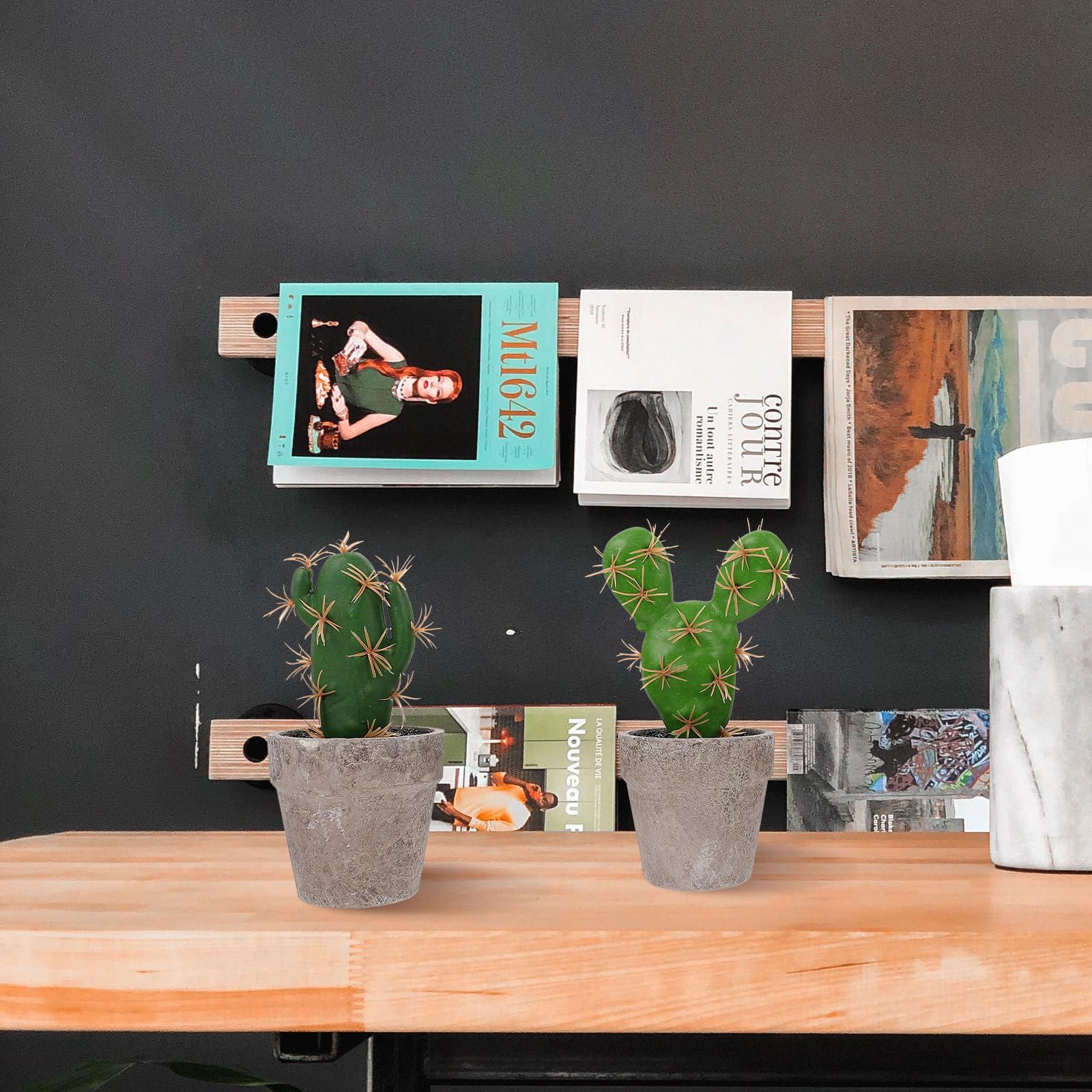 Artibetter Set di 4 Piante Grasse Finte in Vaso in Polpa e Plastica per Decorazioni Casa, Facile Cura, Aspetto Naturale e Fresco, per Scrivania e Soggiorno
