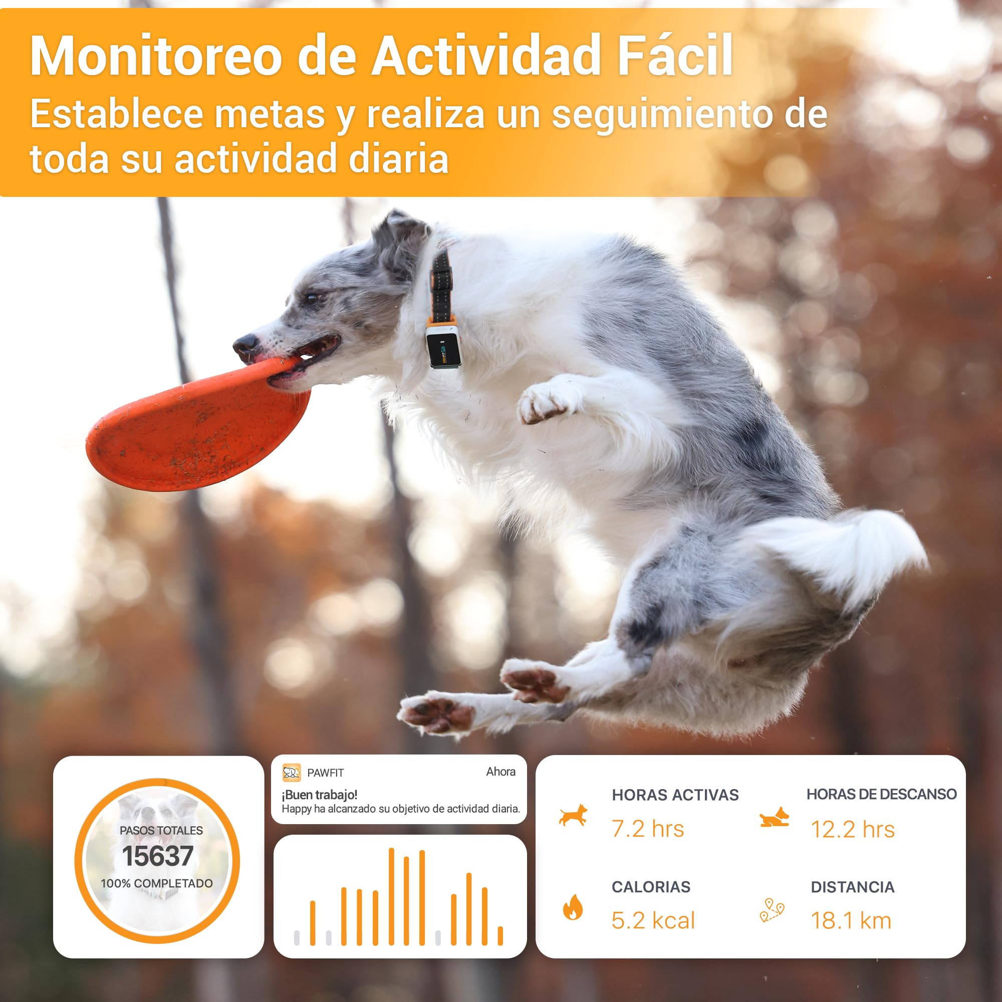 Pawfit 3 Rastreador GPS para Perros 4G, Seguimiento en Vivo, Impermeable, Llamada de Voz Remota