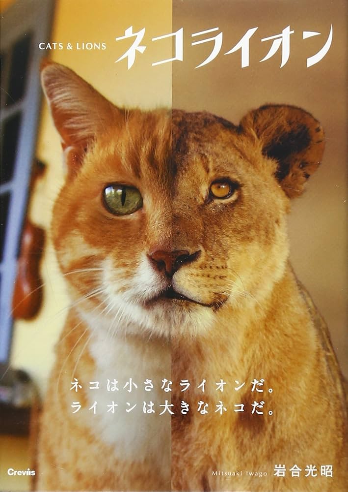 ライオン家族 岩合光昭 写真集8点 ライオン家族 | 岩合 光昭 |本 | 通販 | Amazon