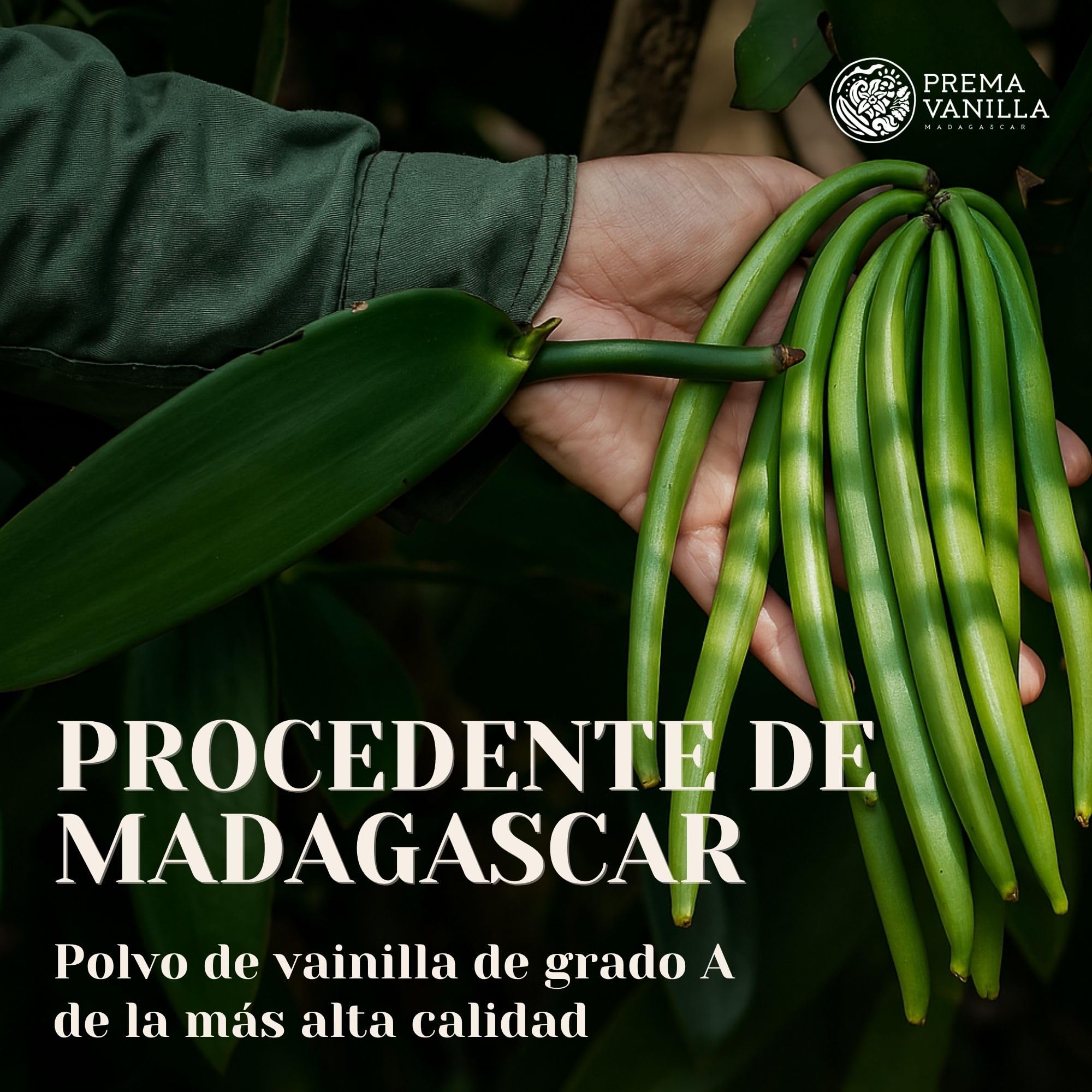 PREMA VANILLA Polvo de Vainilla Bourbon Premium – Vainilla en Polvo 100% Natural y Orgánica – Elaborada a partir de Vainas de Vainilla de Madagascar – Calidad Gourmet – Aroma Puro e Intenso