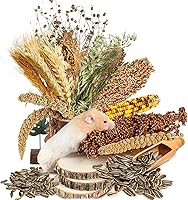 Vista 10 de Almohada Natural de Espiga y Hierbas para Hámsteres, Jerbos y Lemmings, con Decoración Divertida
