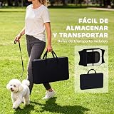 Ver la foto 6