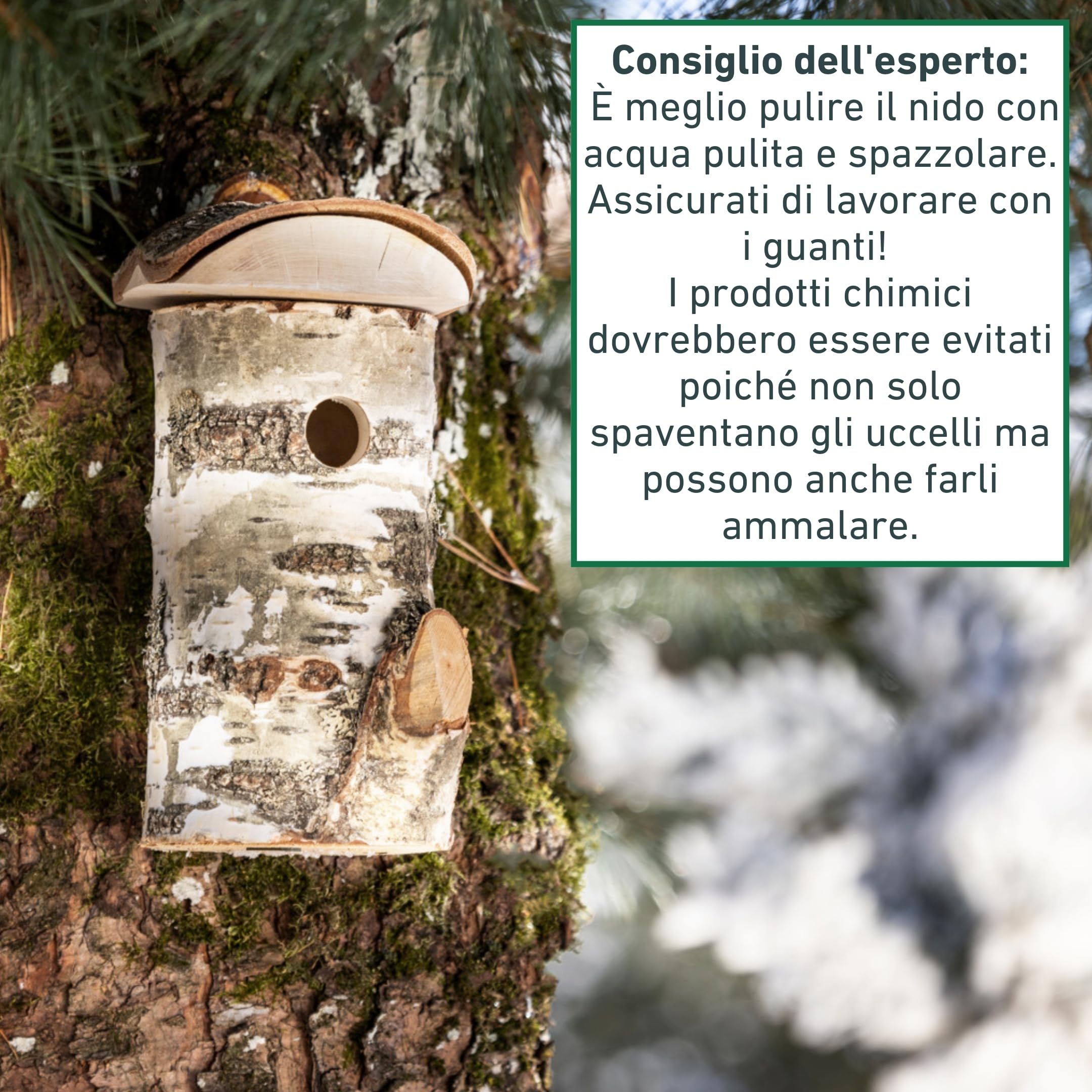 Windhager cassetta nido per uccelli Wildkogel, foro dingresso Ø 28 mm, tetto rimovibile, legno di betulla, casetta per uccelli, cassetta nido per uccelli da appendere, durevole