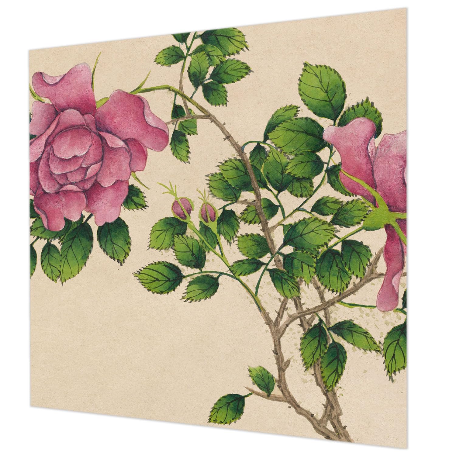 Décor mural intissé 250x250 cm Tulup pour chambre et salon motif de roses