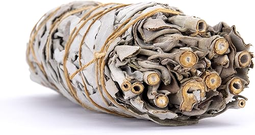 Miniatura 4 de Juniper Ridge California White Sage - Paquete de incienso grande - Aromaterapia - Sin fragancia sintética - Cuenta única Sweetgrass, Variedad –