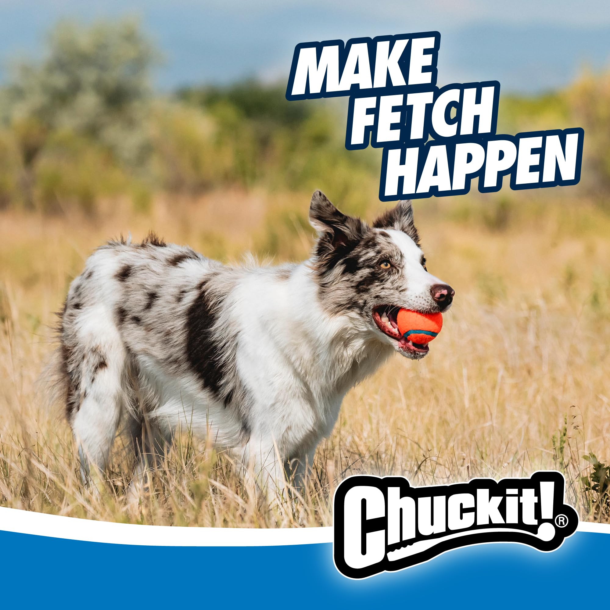 Chuckit! Ultra Ball & Launcher – Classic 66 cm avec 2 balles rebondissantes Moyennes (6,3 cm) pour Chiens de 9 à 27,2 kg, Accessoire Jouet Extérieur Jeux pour Chien, Lanceur de Balles