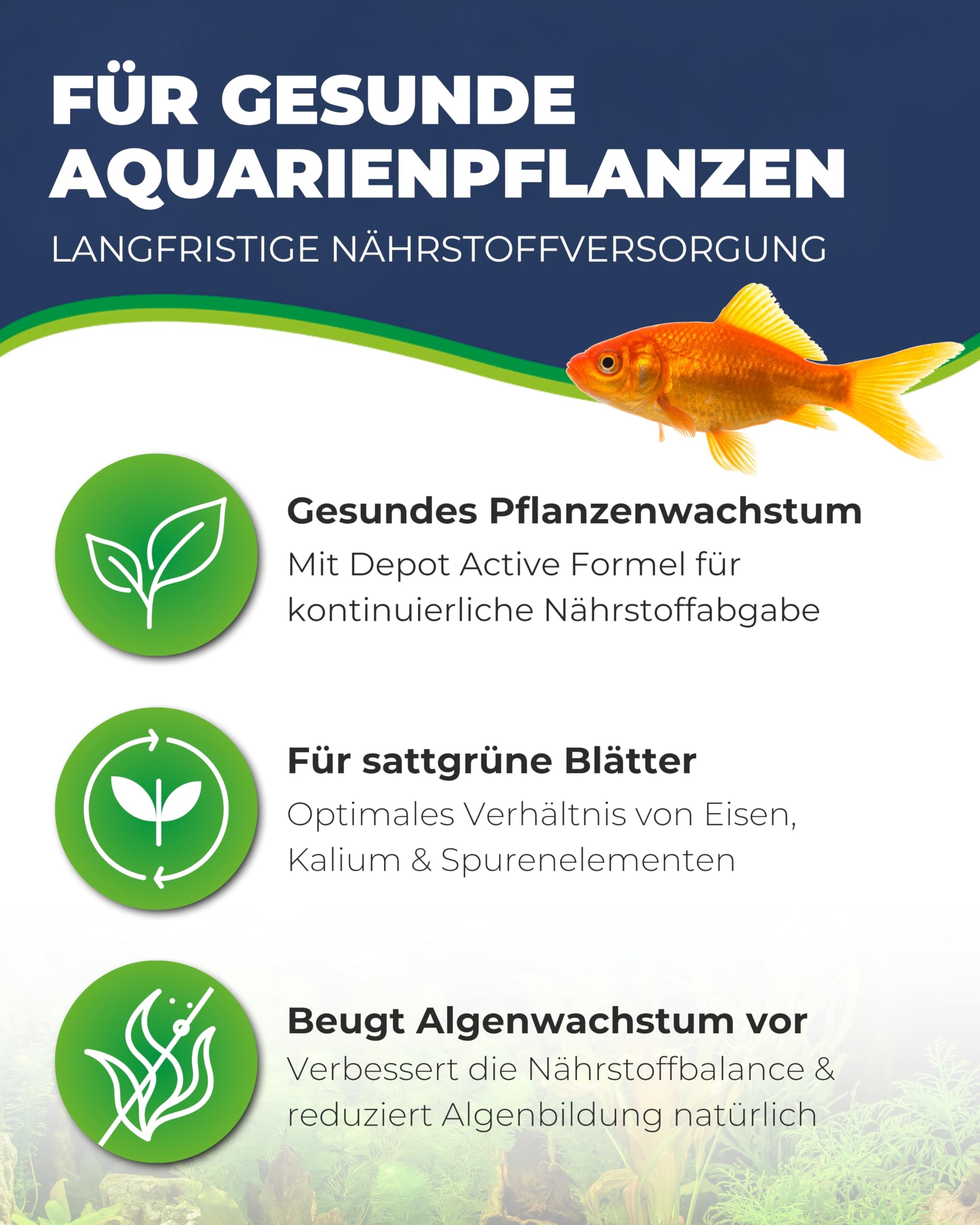 HOBBY Aquaristik Plant Fit I 500 ml I Flüssigdünger für Aquarienpflanzen I ohne Nitrat & Phosphat I Fördert gesunden Wuchs und kräftige Farben I Pflanzenvolldünger mit langanhaltender Wirkung