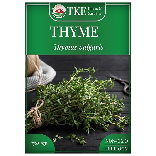 Thyme Seeds for Planting – Non-GMO, High Germination, Drought-Tolerant, 3500+