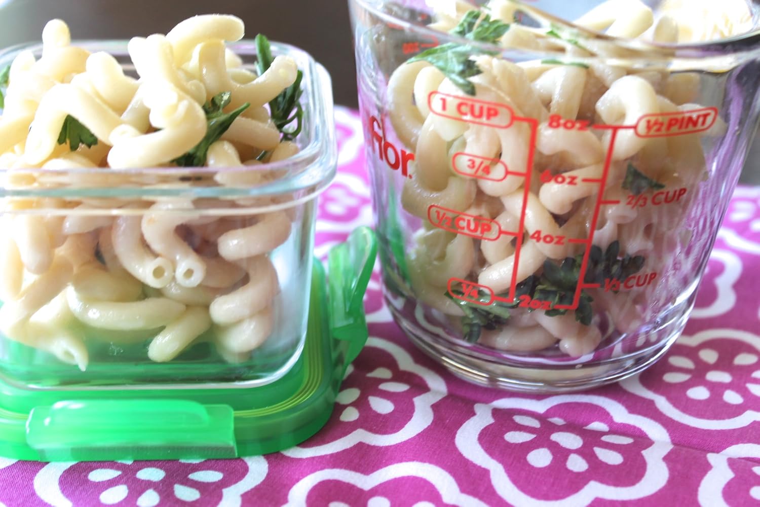 Wean Green 2-Pack Snack Cubes Glass Food Containers, Carrot