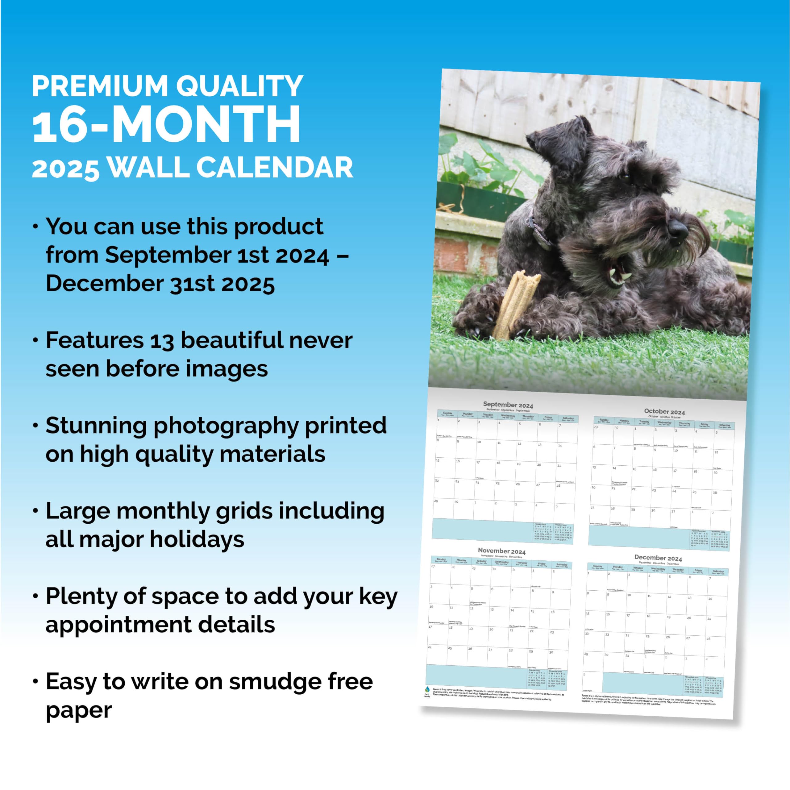 Baker and Bray Miniature Schnauzer Puppies Calendar 2026, Large Square Wall Calendar With Organisational Stickers, 16 Month - Image 3