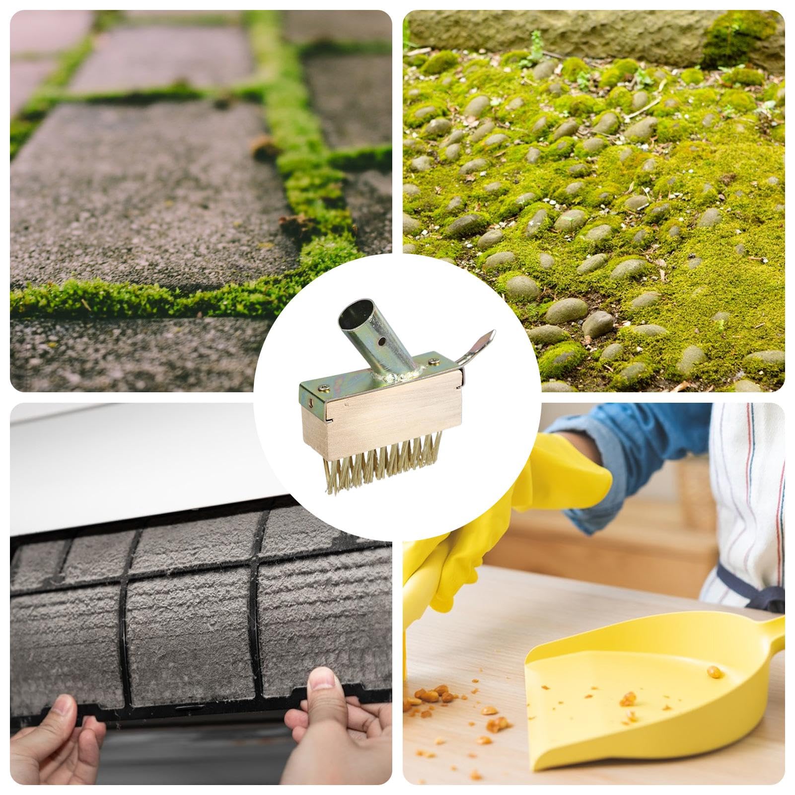 Amazon.co.jp: 舗装用苔除去剤 | 私道用苔リムーバー ポータブル